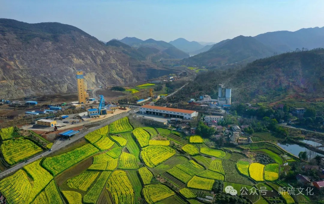 九游会·J9 - 中国官方网站 | 真人游戏第一品牌